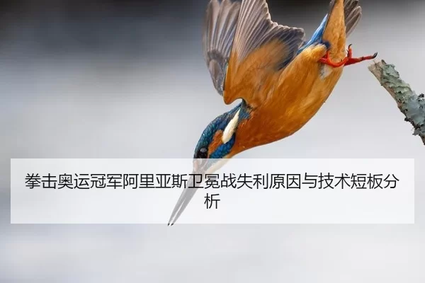 拳击奥运冠军阿里亚斯卫冕战失利原因与技术短板分析